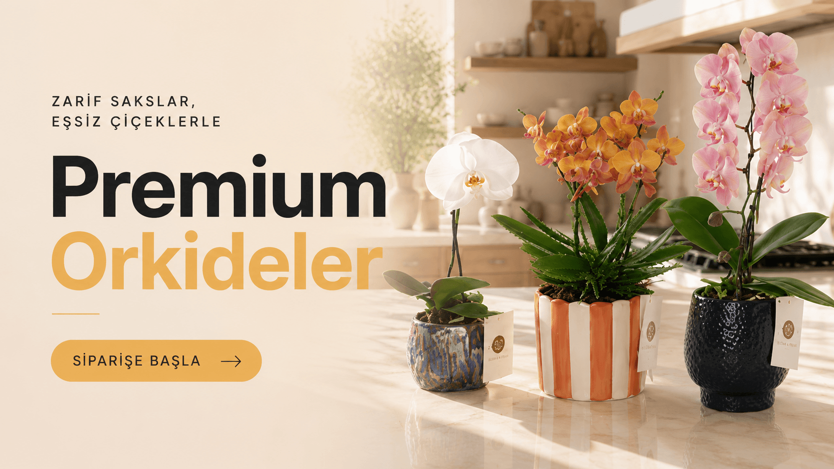 Bloom and Fresh Banner resmi